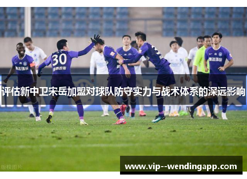 评估新中卫宋岳加盟对球队防守实力与战术体系的深远影响