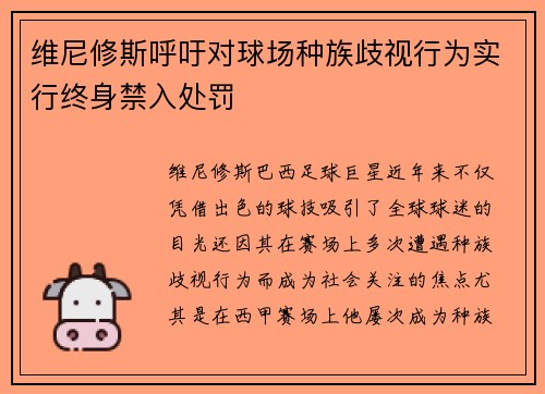 维尼修斯呼吁对球场种族歧视行为实行终身禁入处罚