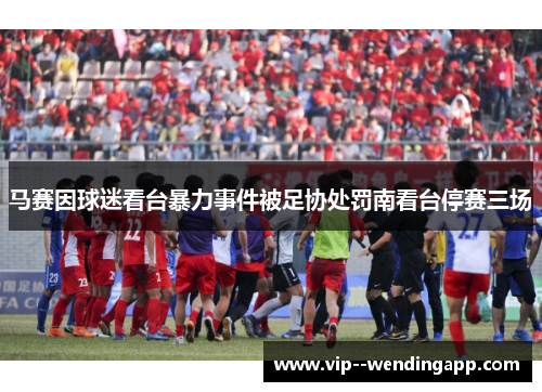 马赛因球迷看台暴力事件被足协处罚南看台停赛三场