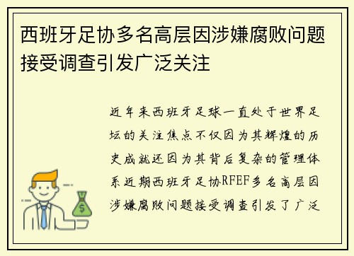 西班牙足协多名高层因涉嫌腐败问题接受调查引发广泛关注 西班牙足协多名高层因涉嫌腐败问题接受调查引发广泛关注